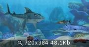    / Sharkbait (2006) DVDRip