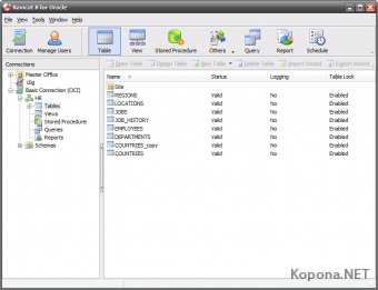 Navicat for Oracle Enterprise v8.1.8