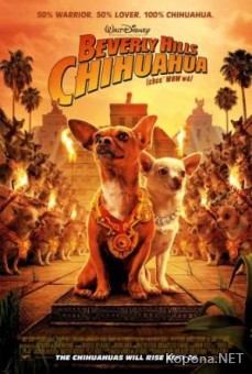   - / Beverly Hills Chihuahua (2008) DVDRip