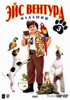    / Ace Ventura Jr: Pet Detective (2009) DVDRip