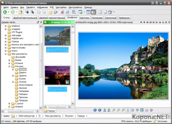 GPSoftware Directory Opus v9.1.1.7