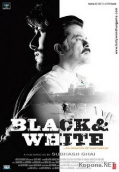 ׸   / Black & White (2008/1400Mb/DVDRip)