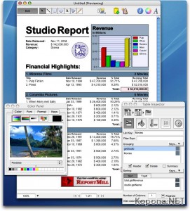 ReportMill Studio 11.3 *MultiOS*