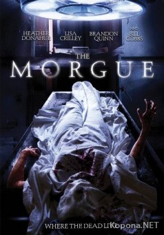  / The Morgue (2008/700Mb/DVDRip)