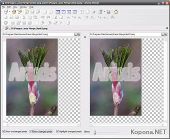 Araxis Merge Professional v2009.3713