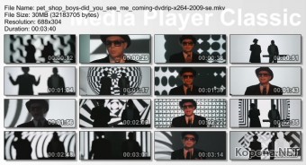 Pet Shop Boys - Did You See Me Coming - DVDRiP/x264 (2009)