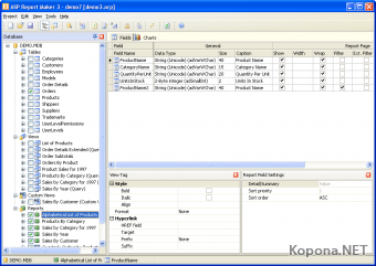 ASP Report Maker v3.0.0