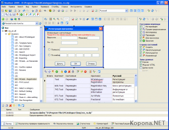 Sisulizer v2008.286 Enterprise Multilanguage