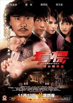  / Champions / Duo Biao (2008/700Mb/DVDRip)