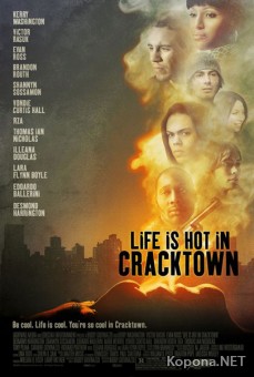     / Life Is Hot in Cracktown (2009) DVDRip