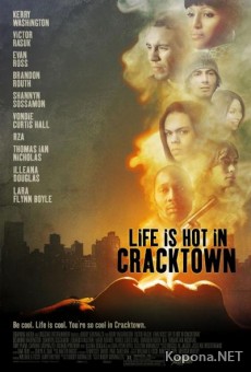     / Life Is Hot in Cracktown (2009/700Mb/DVDRip)