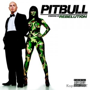 Pitbull - Rebelution (2009)