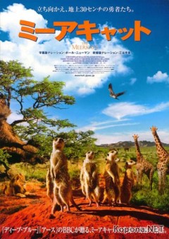  / The Meerkats (2008) DVDRip