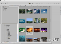 Nikon Capture NX v2.2.4