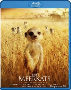  / Meerkats, The (2008) HDRip