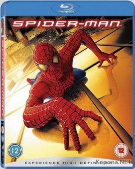 - / Spider-Man (2002) Blu-ray + Remux + 1080p + 720p + DVD9 + HQRip