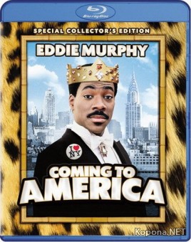    / Coming to America (1988) BD Remux + BDRip 1080p/720p + DVD5 + HQRip