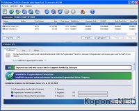 Diskeeper 2010 v14.0.909