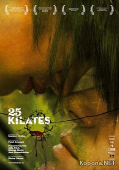 25  / 25 kilates (2008) DVDRip / DVD5