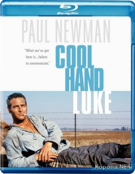   / Cool Hand Luke (1967) HD 1080p + 720p + DVD9 + HQRip