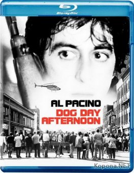   / Dog Day Afternoon (1975) BD Remux + 1080p + 720p + DVD5 + HQRip