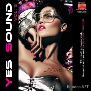 VA - Yes Sound Vol.5 (2010)