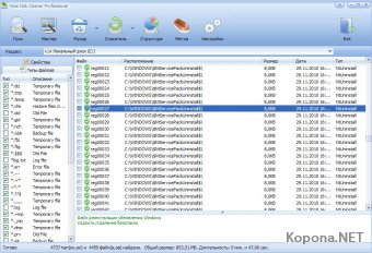 Wise Disk Cleaner Professional v5.73.263