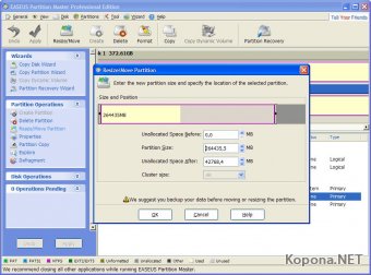 EASEUS Partition Master Professional v6.5.1 Retail *rG*