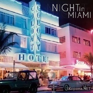 Night in Miami (2011)