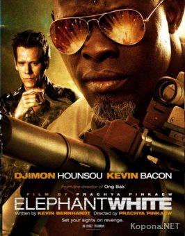   / Elephant White (2011) WP