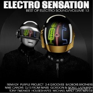 RM Electro Sensation Vol.13 (2011)