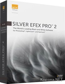 Niksoftware Silver Efex Pro 2
