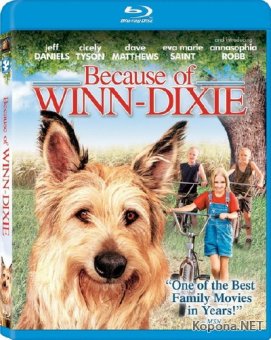    / Because of Winn-Dixie (2005) BDRip 720p + HDRip