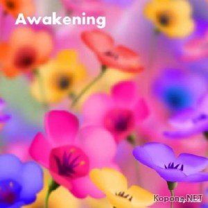 Timo - Awakening (2011)