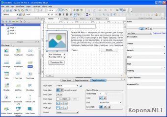 Axure RP Pro v6.0.0.2899