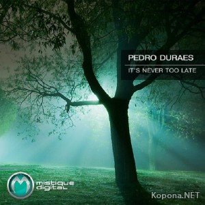 Pedro Duraes - Its Never Too Late (2011)