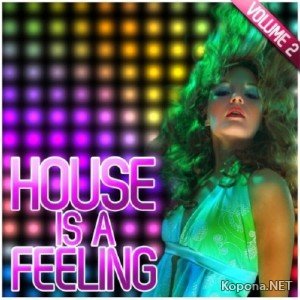 House Is a Feeling Vol 2 (2011)