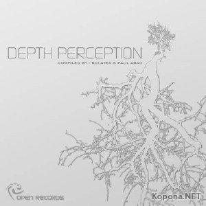 Depth Perception 2011