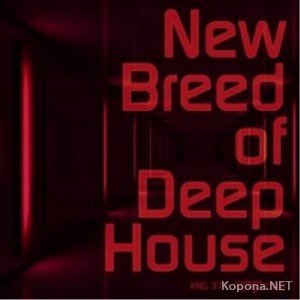 New Breed of Deep House EP (2011)