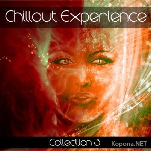 Chillout Experience Collection Vol. 3 (2011)