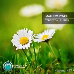 Mathew Lynch - Terrestrial Plants (2011)