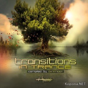 Transitions In Trance (2011)