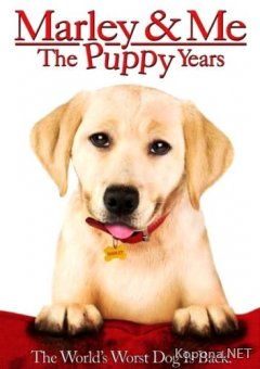    2 / Marley & Me: The Puppy Years (2011) DVD5