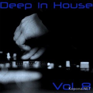 Deep In House Vol. 8 (2011)