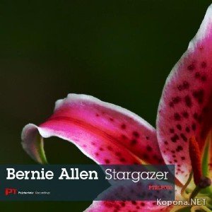 Bernie Allen - Stargazer (2011)