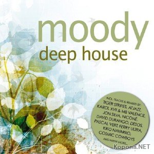 Moody Deep House (2011)