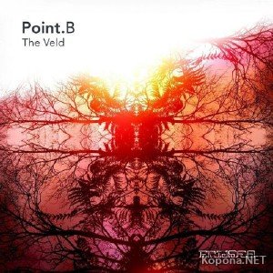 Point B - The Veld (2012)