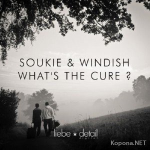 Soukie & Windish - Whats The Cure (2012)