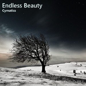 Cymatics - Endless Beauty (2012)