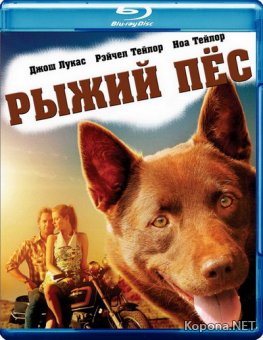   / Red Dog (2011) BDRip 1080p/720p